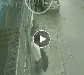 The "Freeze" Response & Its Deadly Reprecussions – An Expose from Brazil