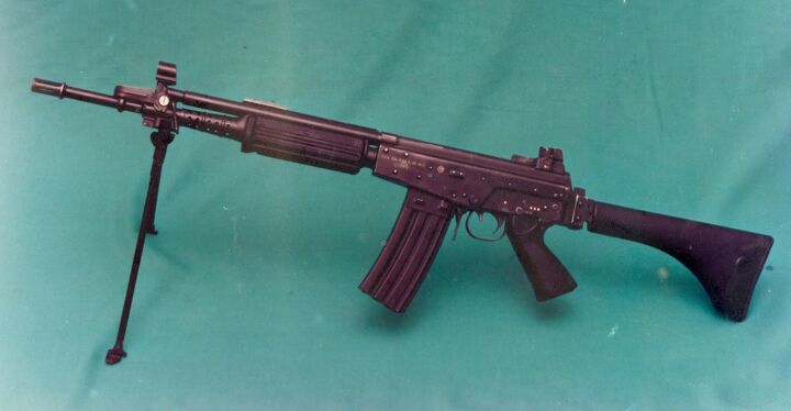 Fad Assault Rifle Real Life