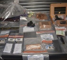 Czech Man Sentenced to 5 Years For Firearms Possession in UK