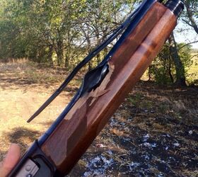 POTD: Browning A5 Kaboom