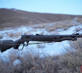 Henry Big Boy X .44mag