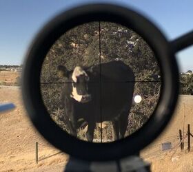 tfb review vudu 1 824 sfp aka eotech lpvo