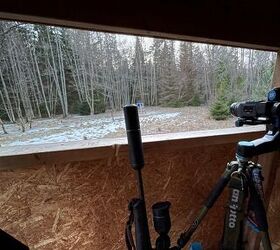 Waiting for wild boar. Pulsar Helion 2 XP50 PRO and Pulsar Thermion 2 XP50 on a Blaser R8.