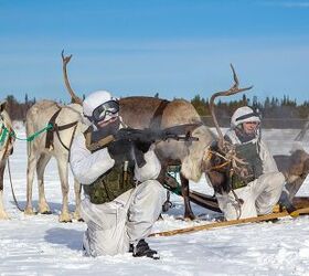 POTD: Russian AKs, Huskies & Reindeer