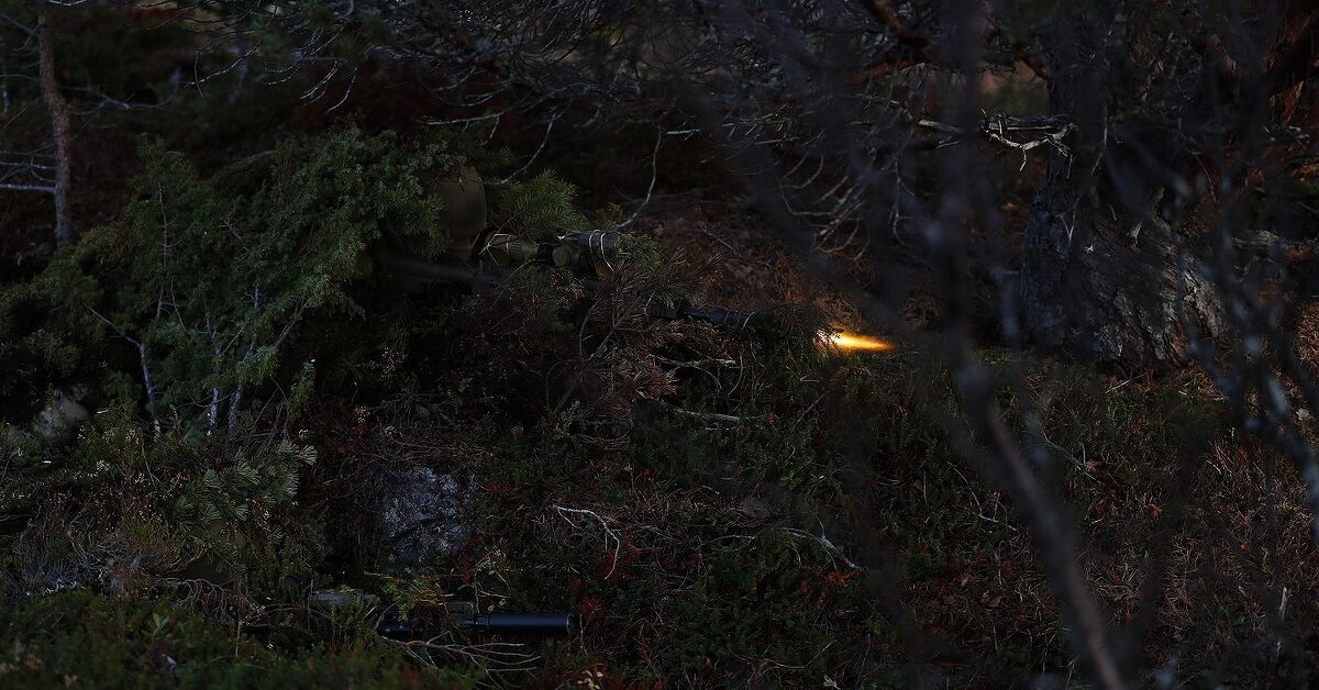 www.thefirearmblog.com