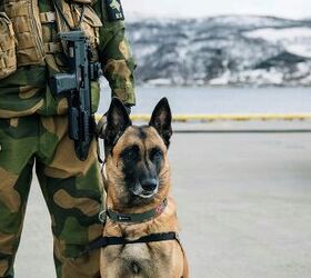 POTD: H&K MP7 & K9 in Quick Reaction Force