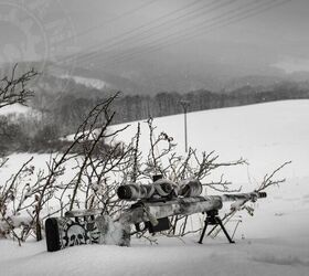 POTD: German Gun Stock – Raptor in Snow-Camo "Arctic"