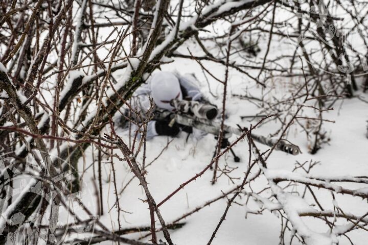 POTD: German Gun Stock – Raptor in Snow-Camo