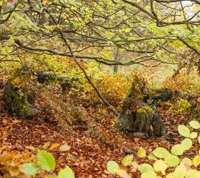 POTD: Sniper Course at International Special Training Centre