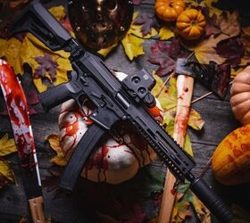 P. Phoenix（pup） Petronix Pup-E & Paul-E Transformable Vehicles Figure Golden