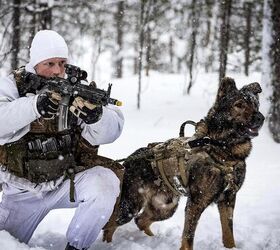 POTD: Heckler & Koch HK416N and Norwegian Attack Dog