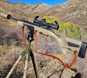 TFB Review: The Steyr Scout 6.5 Creedmor In The Field (Part 3) 