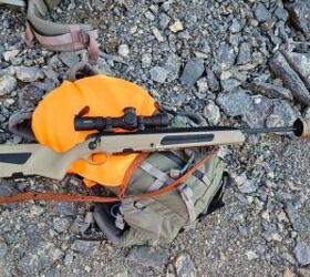 TFB Review: The Steyr Scout 6.5 Creedmor In The Field (Part 3) 