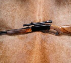 the rimfire report the fondly remembered winchester 250 lever action, Photo lock stock and barrel