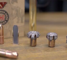 Hornady Improves Dangerous Game Hunting with DGX Bonded