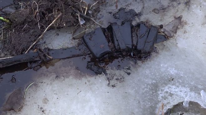ww2 weapons extremely well preserved in a swamp