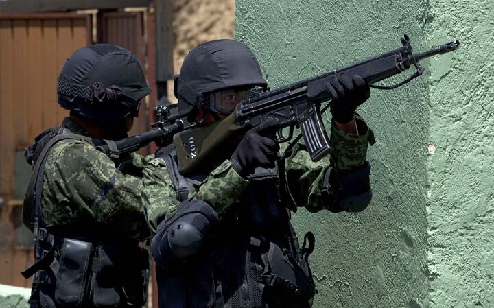 Mexican Army g3