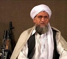 the krinks of osama bin laden