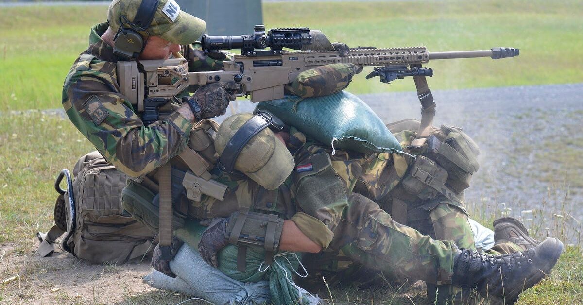 www.thefirearmblog.com