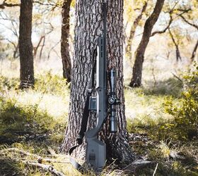 Don't be surprised when you see these stocks and rifles in more places than just the woods.