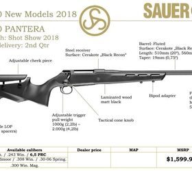 SAUER Introduces New Rifles in its SAUER 100 Line | thefirearmblog.com