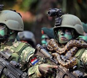 POTD: Paraguayan Pythons on Parade | thefirearmblog.com