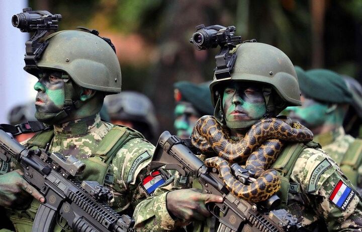 POTD: Paraguayan Pythons on Parade | thefirearmblog.com