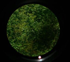 Primary Arms 1-8x scope review