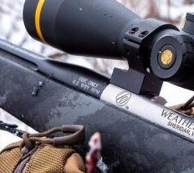 NEW 6.5 Weatherby RPM Cartridge and Mark V Backcountry Rifles