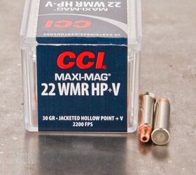 TFB Round Table: 5 BEST 22 Magnum Rounds for Defense or Hunting ...