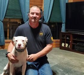 Bear Necessities: Black Bear Attack Stopped with .45 ACP