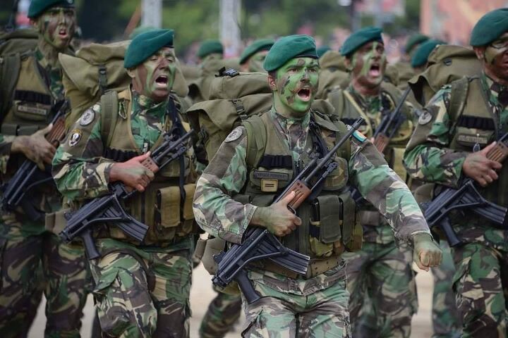 Portuguese Special Forces portuguese-special-forces