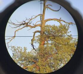 tfb review zero compromise zc527 scope and spuhr sp 6602 mount