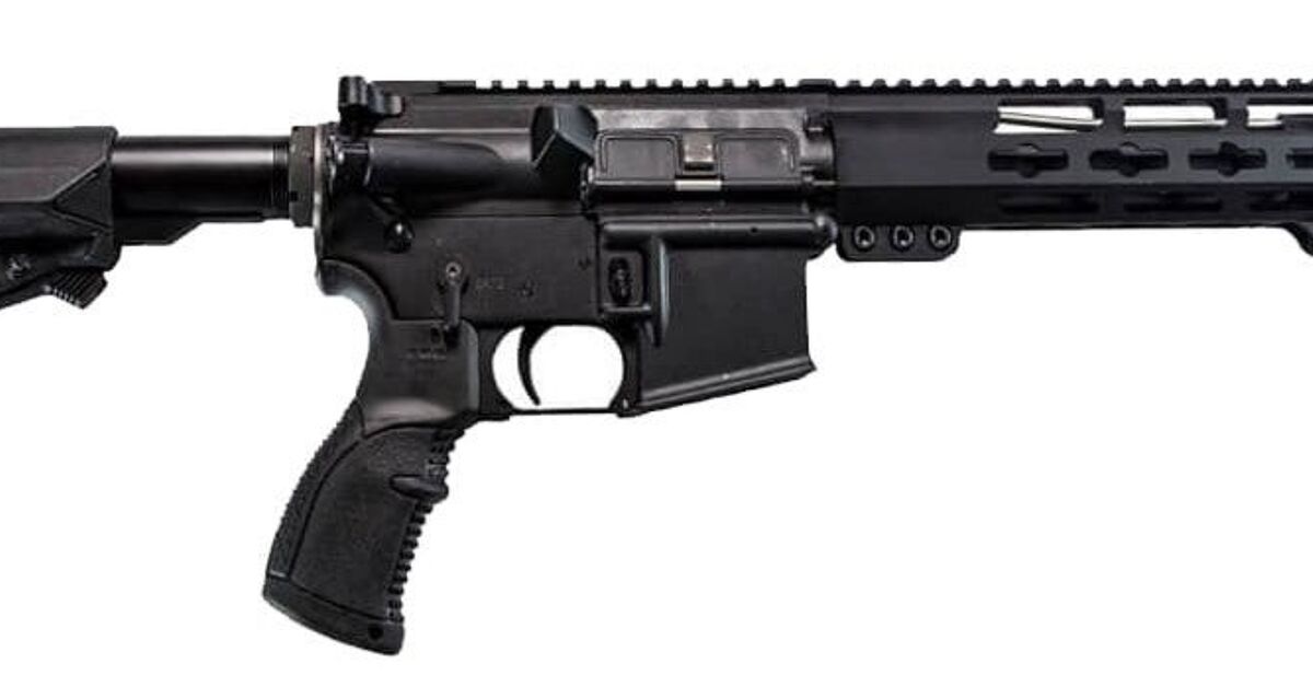 www.thefirearmblog.com