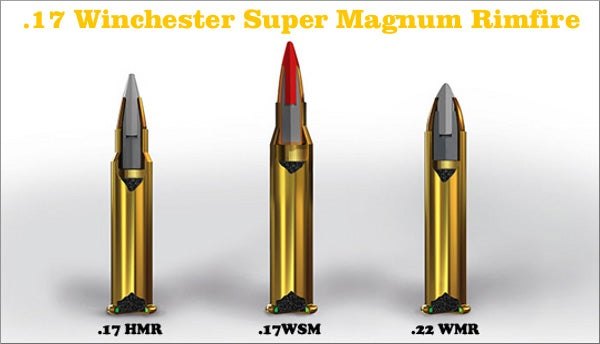 The Rimfire Report: A Brief History of Rimfire Ammunition ...