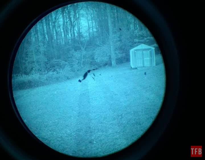 Photonis Echo with a sizeable blem in Zone 1.