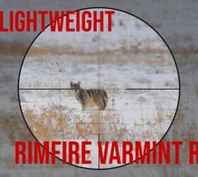 The Rimfire Report: The 5 Best Lightweight Rimfire Varmint Rifles ...