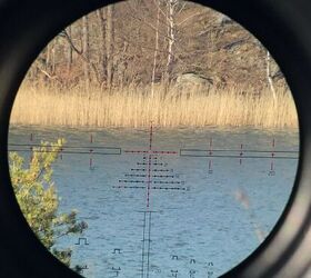 TFB Review: The 1-8×24 PM II ShortDot Dual CC – from Schmidt