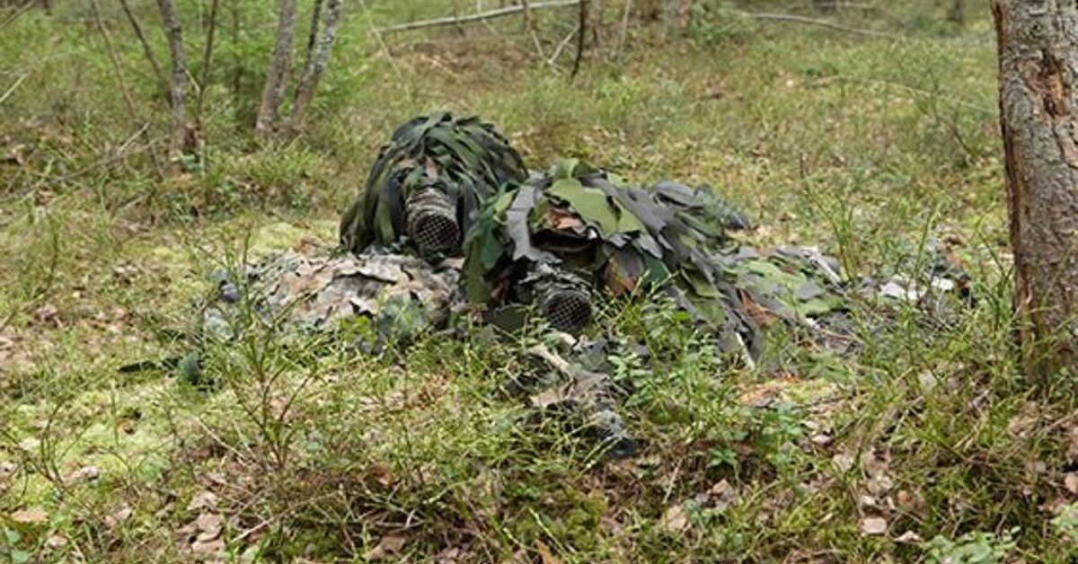 www.thefirearmblog.com
