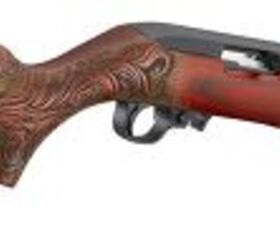 Digging Up the Dragon: a Fire-Breathing Ruger 10/22?