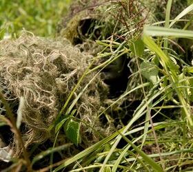 potd belizean sniper in stalking event