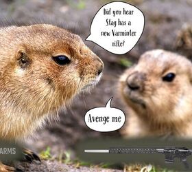 If you witness varmints having an actual conversation like this, please sober up before attempting to pick them off with your Stag rifle.