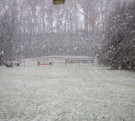 The Rimfire Report: A Match Director's Perspective on Precision Rimfire