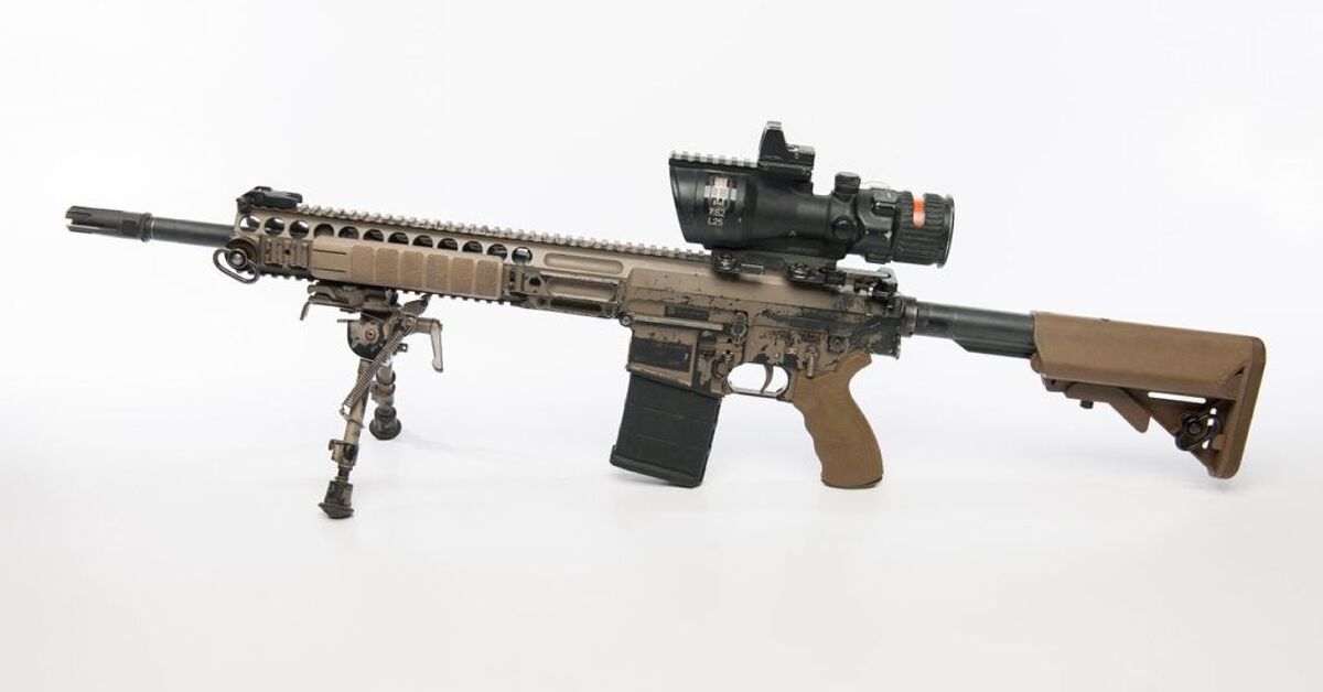 POTD: L129A1 Sharpshooter Rifle | thefirearmblog.com