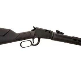 Rossi Rio Bravo Rimfire Lever Action Rifle with Polymer Furniture