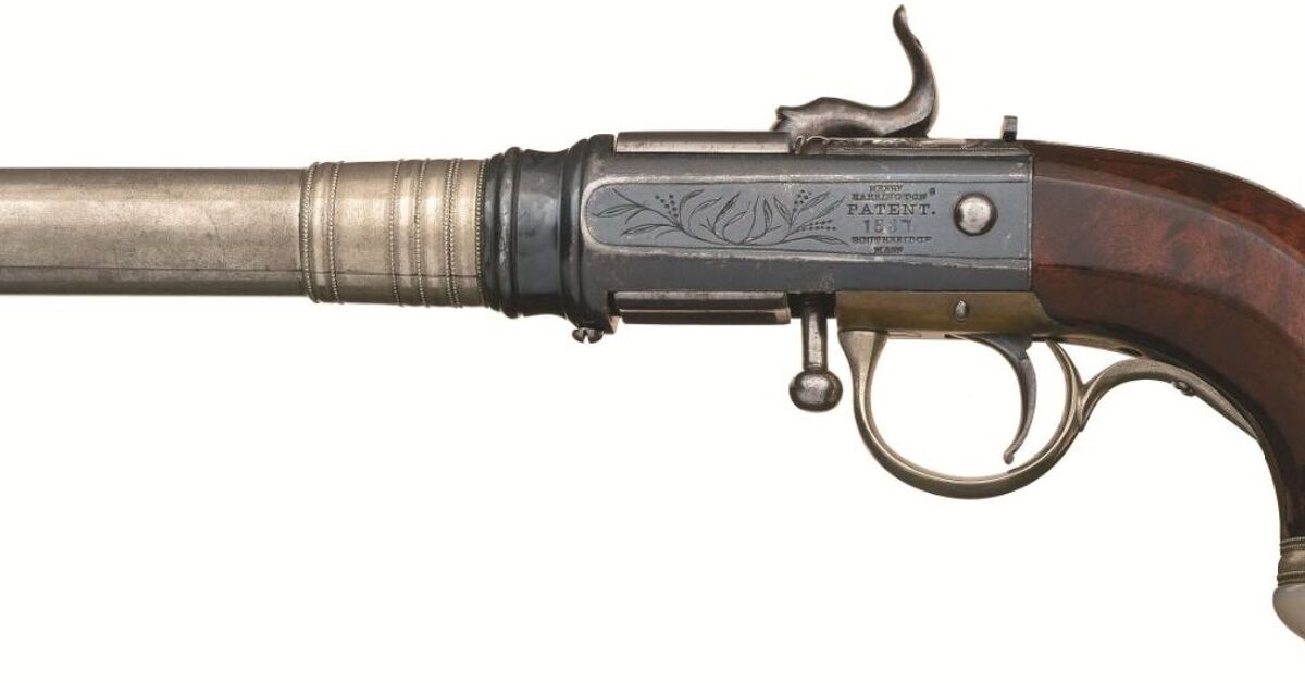 Rare Unique Rifles 5 Rare and Unusual Guns Seen in December 2020 Rock Island Premier ...