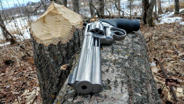 Wheelgun Wednesday: What Makes a Great Pest Control Revolver ...