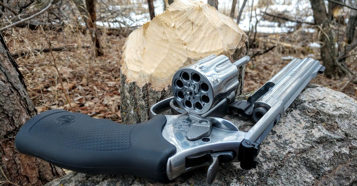 Wheelgun Wednesday: What Makes a Great Pest Control Revolver ...