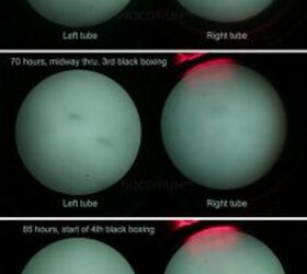 Source: cdn.shopify.com