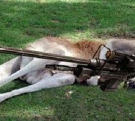 TFB B-Side Podcast: What It's Like to Be a Gun Owner in Australia
